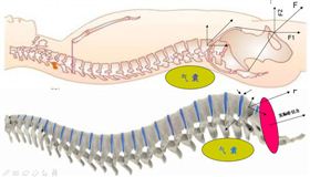 飛龍醫(yī)療 飛龍醫(yī)療