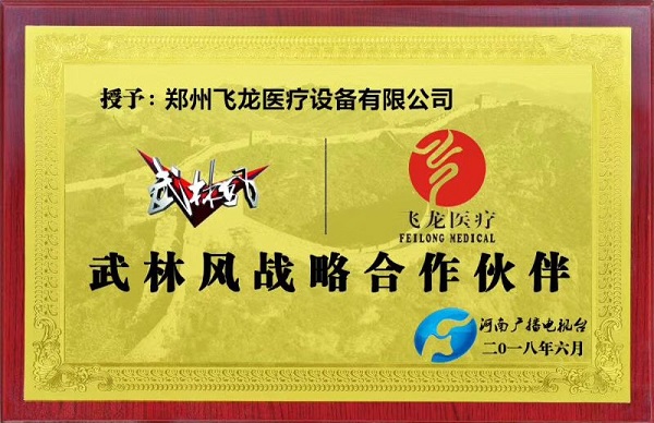 飛龍醫(yī)療外星艙走進武林風(fēng)