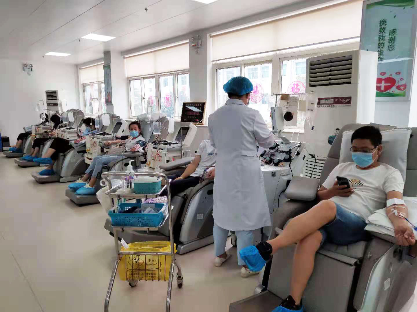 單采成分血、機采血小板獻血中