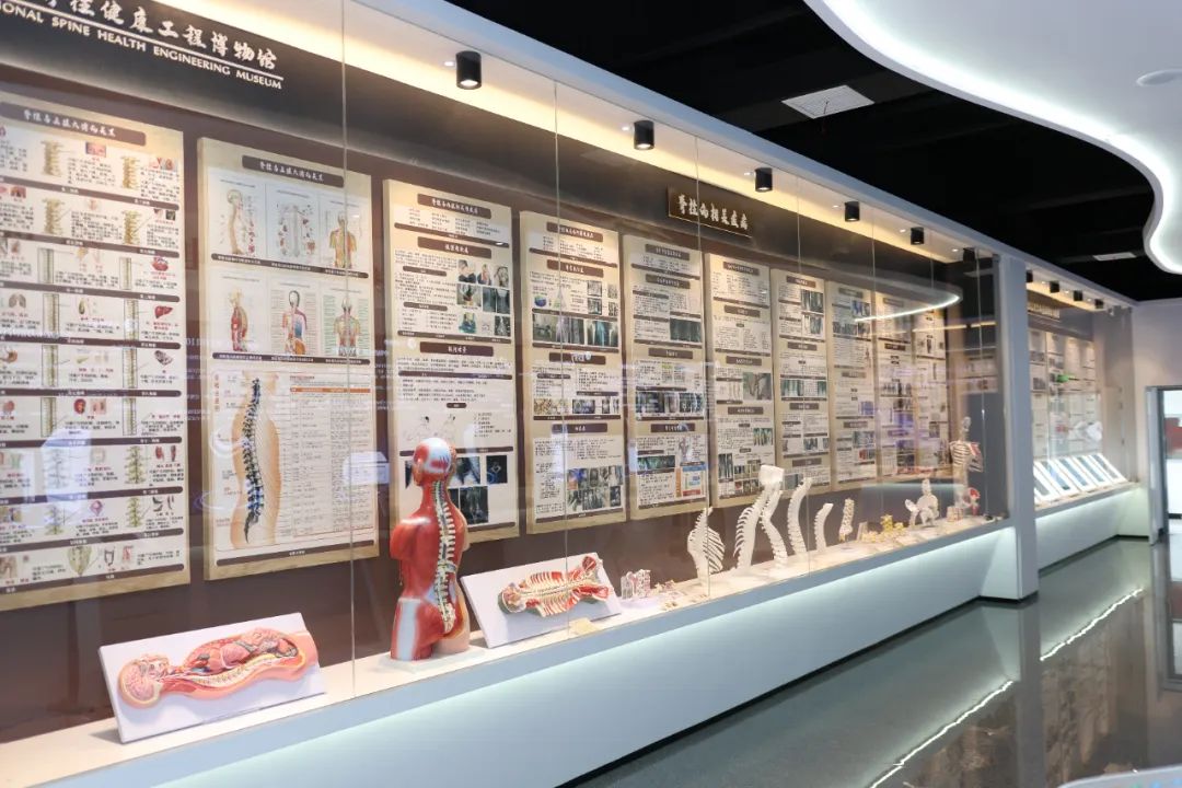 全民脊柱博物館 全民脊柱博物館